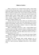 Referāts 'Kultūras tipoloģijas veidi', 7.