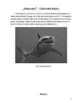 Referāts 'Niršana pie baltās nāves - haizivīm. Tūrisms', 4.