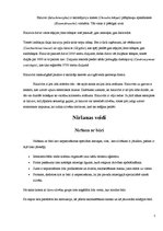 Referāts 'Niršana pie baltās nāves - haizivīm. Tūrisms', 5.