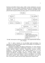 Diplomdarbs 'Pārvadājumu organizēšana uzņēmumā SIA "Euro Baltic Trans"', 26.