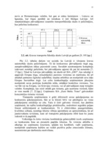 Diplomdarbs 'Pārvadājumu organizēšana uzņēmumā SIA "Euro Baltic Trans"', 38.