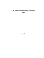 Referāts 'The Analysis of Tourism Industry in Suriname', 1.