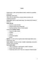 Referāts 'Fibonači skaitļi', 3.