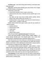 Referāts 'Patērētāju uzvedības faktori', 12.