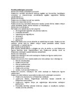 Referāts 'Nekustamā īpašuma iegāde kredītā, iespējas un pieredze Latvijā', 8.