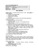 Referāts 'Nekustamā īpašuma iegāde kredītā, iespējas un pieredze Latvijā', 13.