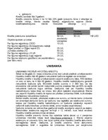 Referāts 'Nekustamā īpašuma iegāde kredītā, iespējas un pieredze Latvijā', 16.