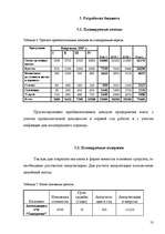 Biznesa plāns 'ИК "Эдельвейс"', 13.