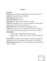 Diplomdarbs 'Sociālā atbalsta pakalpojumi nepilngadīgo māmiņu dzīves kvalitātes uzlabošanai', 2.