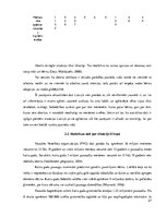 Diplomdarbs 'Sociālā atbalsta pakalpojumi nepilngadīgo māmiņu dzīves kvalitātes uzlabošanai', 27.