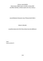Prakses atskaite 'Maģistra darba izvēlētās tēmas problēmas pilotpētījums', 1.