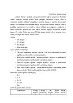 Prakses atskaite 'Maģistra darba izvēlētās tēmas problēmas pilotpētījums', 17.