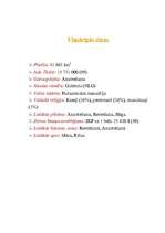 Referāts 'Nīderlande', 1.