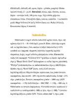 Referāts 'Nīderlande', 4.