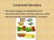 Prezentācija 'Rastafari kustība, tās politiskie uzskati', 6.