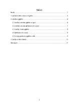 Referāts 'Lietišķais ārējais izskats un apģērbs', 2.