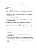 Referāts 'Lietišķais ārējais izskats un apģērbs', 7.