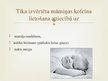 Prezentācija 'Kofeīns grūtniecības laikā', 8.