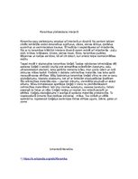 Konspekts 'Keramika', 5.