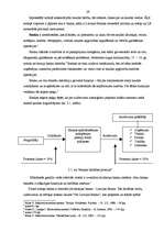 Diplomdarbs 'Latvijas Bankas loma lata stabilitātes nodrošināšanā', 21.