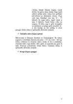 Referāts 'Zebras', 4.