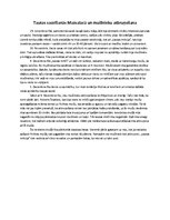 Eseja 'Reportāža par 1905.gada revolūciju Mazsalacā', 1.