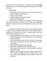 Referāts 'Reklāma starptautiskajā mārketingā', 5.