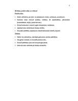 Referāts 'Reklāma starptautiskajā mārketingā', 6.