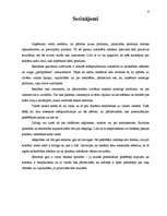 Referāts 'Reklāma starptautiskajā mārketingā', 9.