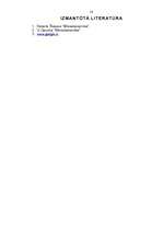 Referāts 'Riska teorija', 14.