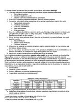 Konspekts 'Vadīšanas funkcijas. Organizēšanas būtība. Organizācijas struktūras veidošana', 2.