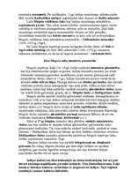 Referāts 'Senā Ķīna un Indija', 7.