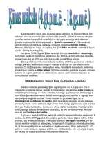 Referāts 'Senā Ķīna un Indija', 9.