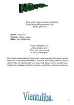 Referāts 'Gals un sākums', 9.