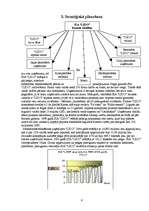 Referāts 'SIA "Lido" izpēte', 5.