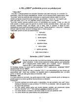 Referāts 'SIA "Lido" izpēte', 7.