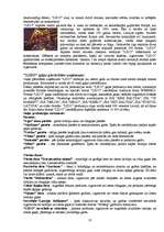 Referāts 'SIA "Lido" izpēte', 9.