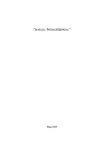 Referāts 'Poliamīdi, poliamīdšķiedras, kaprons, neilons', 1.