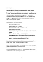 Referāts 'Poliamīdi, poliamīdšķiedras, kaprons, neilons', 3.