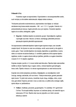 Referāts 'Poliamīdi, poliamīdšķiedras, kaprons, neilons', 4.