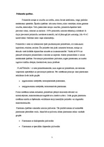 Referāts 'Poliamīdi, poliamīdšķiedras, kaprons, neilons', 5.