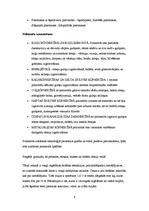 Referāts 'Poliamīdi, poliamīdšķiedras, kaprons, neilons', 6.