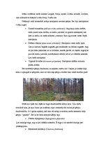 Referāts 'Ķērpju izplatība', 1.