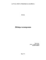 Referāts 'Zīdaiņa vecumposms', 1.