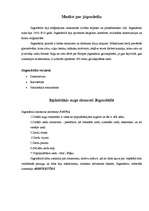 Konspekts 'Jūgendstils', 3.