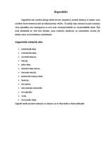 Konspekts 'Jūgendstils', 4.