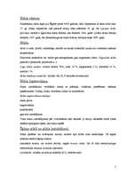 Referāts 'Stikls', 1.