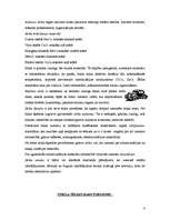 Referāts 'Stikls', 2.