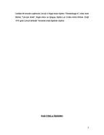 Referāts 'Stikls', 5.