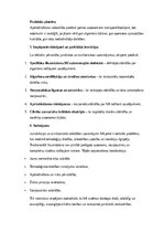 Konspekts 'Mākslīgā intelekta ētiskās dilemmas, draudi cilvēcei un juridiskie izaicinājumi', 9.